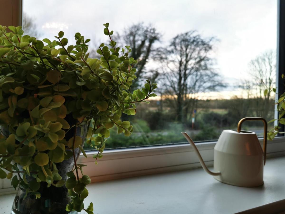 Redbrook Farm Bnb - Gateway To The New Forest Фордингбридж Екстериор снимка