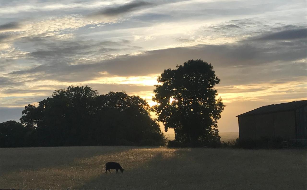 Redbrook Farm Bnb - Gateway To The New Forest Фордингбридж Екстериор снимка