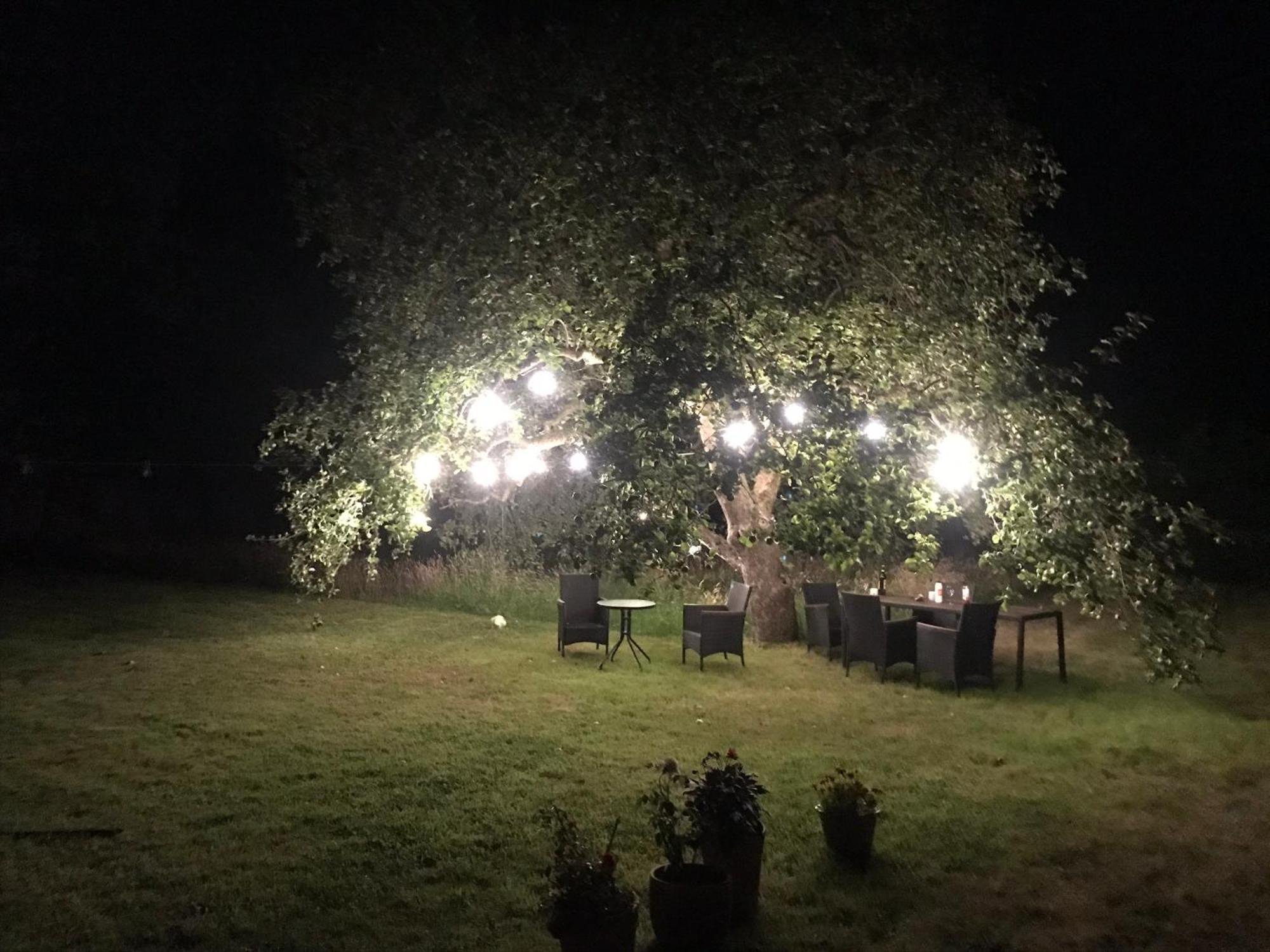 Redbrook Farm Bnb - Gateway To The New Forest Фордингбридж Екстериор снимка