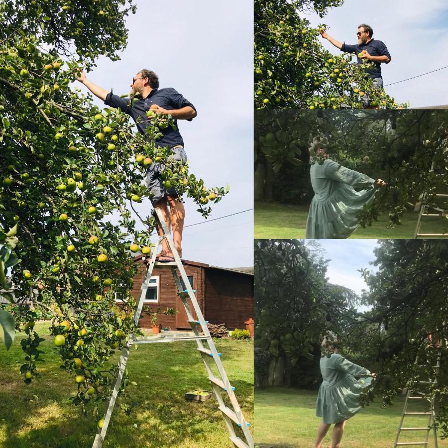 Redbrook Farm Bnb - Gateway To The New Forest Фордингбридж Екстериор снимка