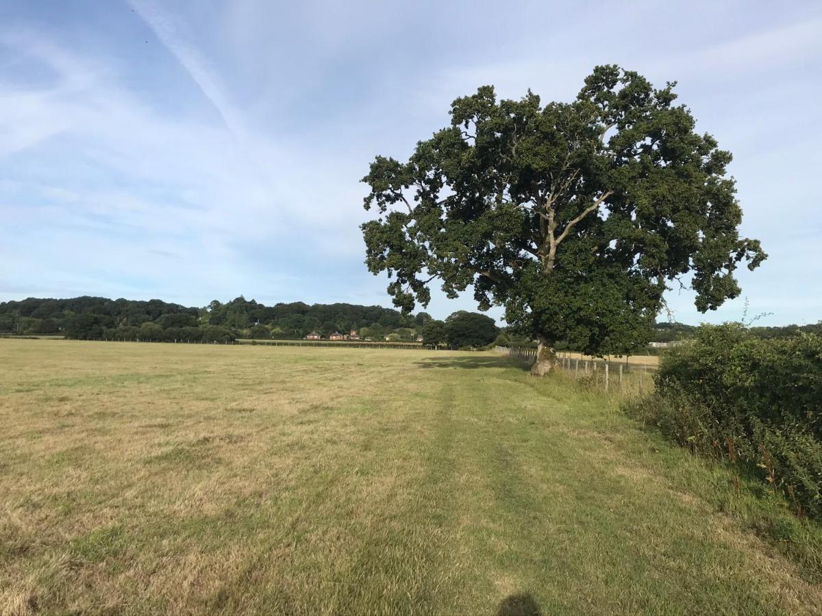 Redbrook Farm Bnb - Gateway To The New Forest Фордингбридж Екстериор снимка
