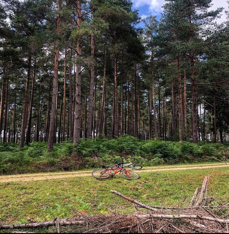 Redbrook Farm Bnb - Gateway To The New Forest Фордингбридж Екстериор снимка
