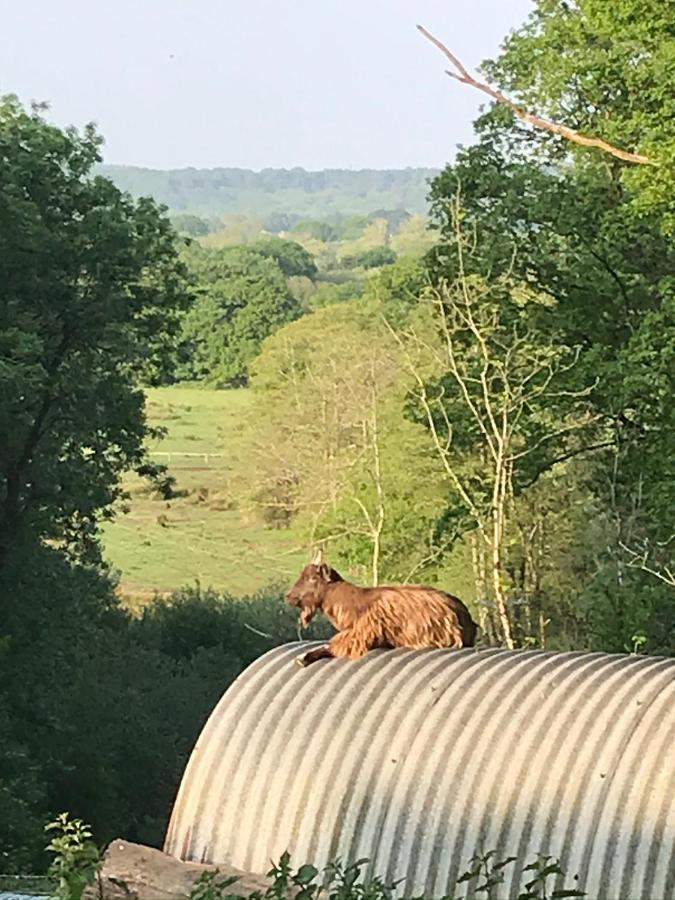 Redbrook Farm Bnb - Gateway To The New Forest Фордингбридж Екстериор снимка
