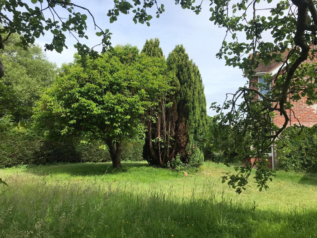 Redbrook Farm Bnb - Gateway To The New Forest Фордингбридж Екстериор снимка